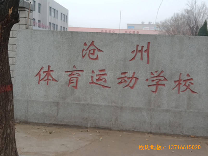 ӱwW(xu)@^wľذO(sh)0